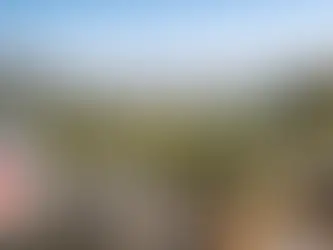 Cómo llegar al Valle de Casablanca desde Santiago