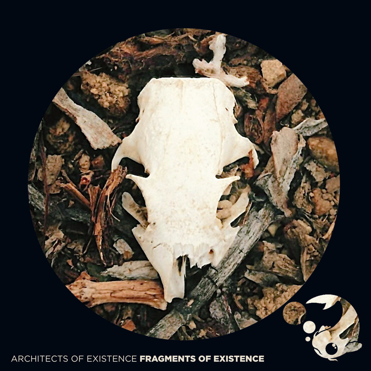 Architects of Existence | Fragments of Existence | CD