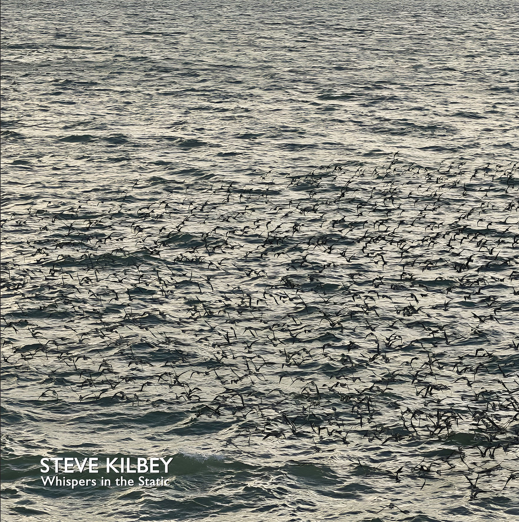 Steve Kilbey | Whispers in The Static | Grey Vinyl