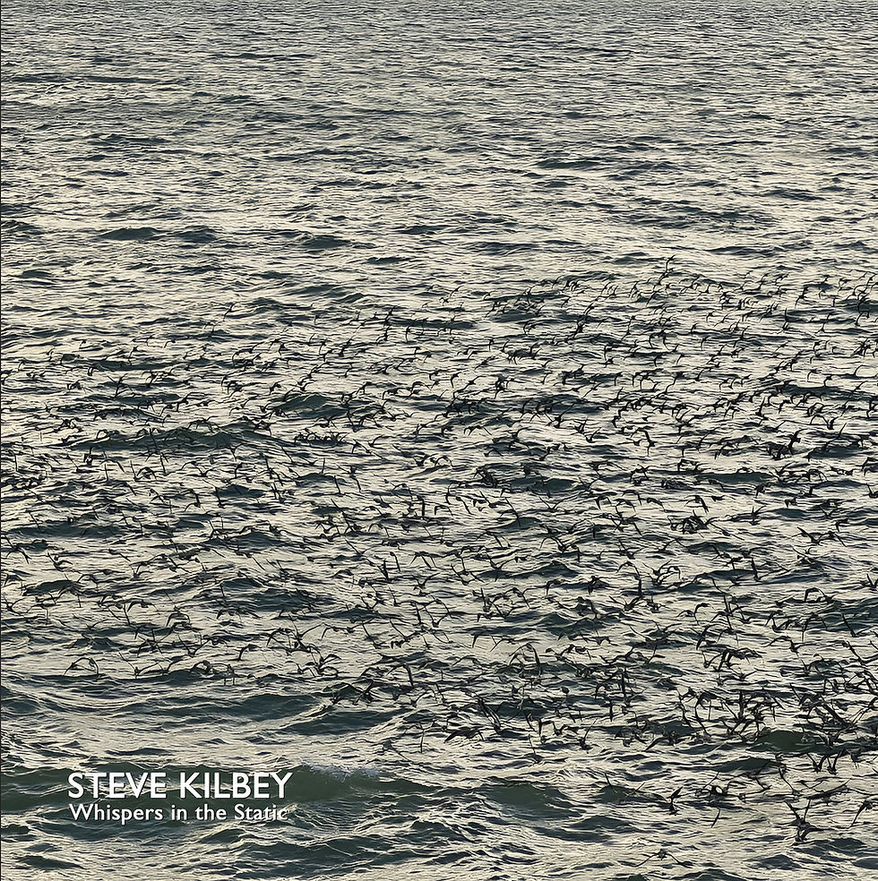 Steve Kilbey | Whispers in The Static | Grey Vinyl