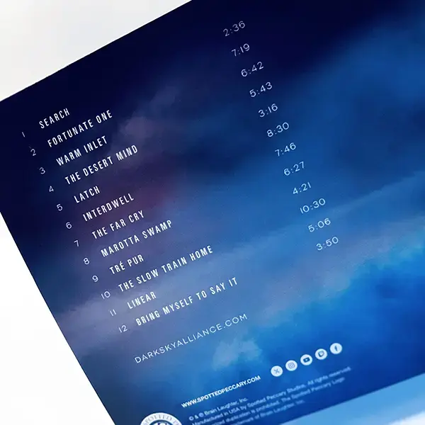 Thumbnail: Dark Sky Alliance | Interdwell | CD