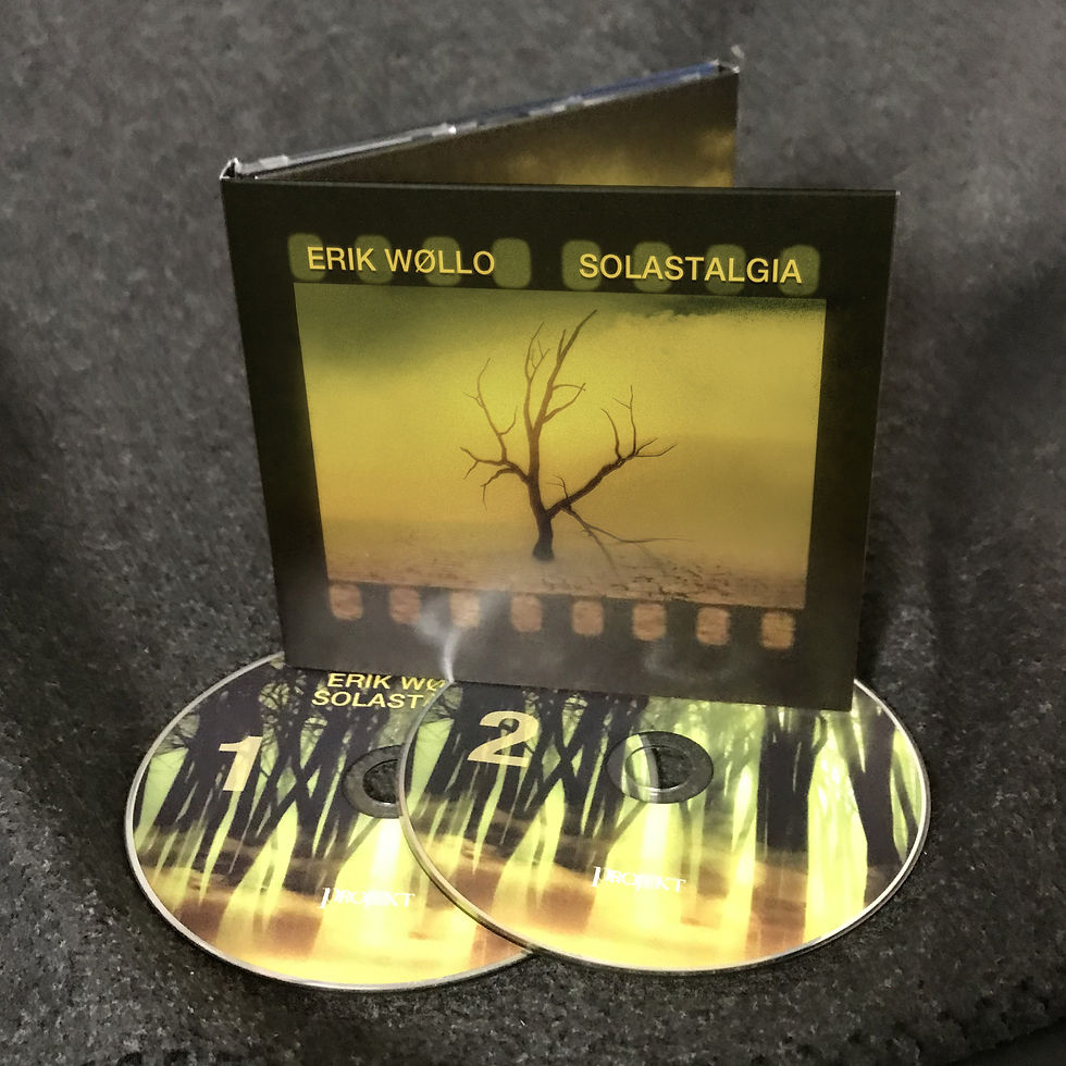 Thumbnail: Erik Wøllo - Solastalgia - 2CD