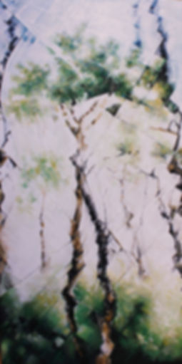 The birch trees of Bavona