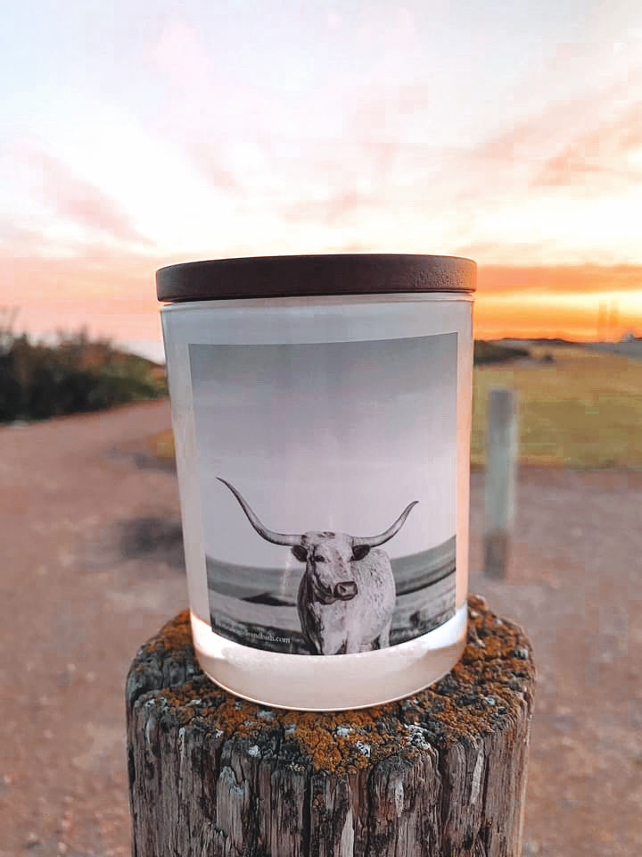 Texas Longhorn Candle
