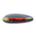 Cherry Tomato