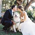 dog-wedding-handler-denver.jpg