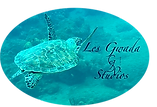 les gwada studios location en direct Pierre et Vacances Guadeloupe