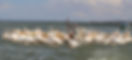 Bahir Dar