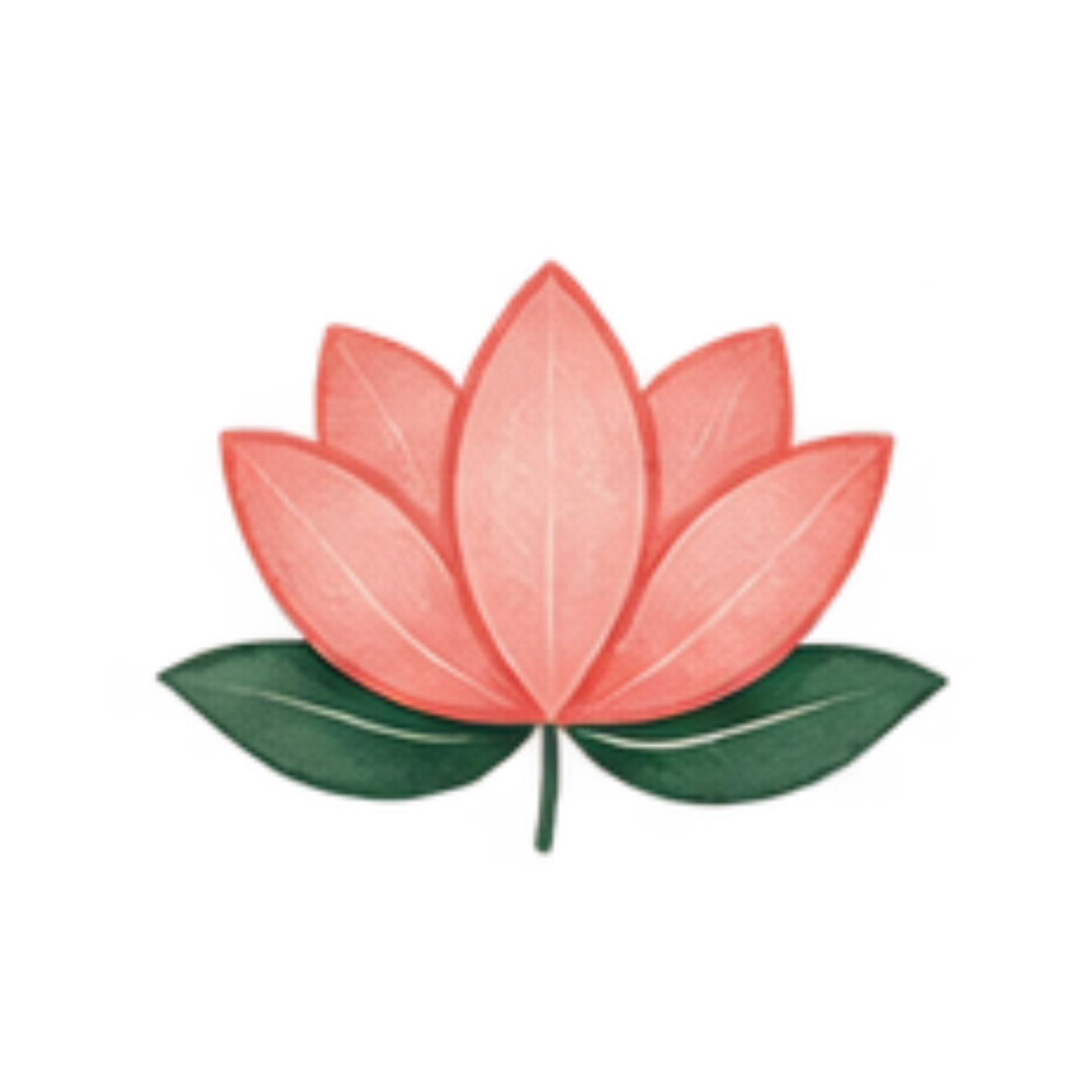 55.png