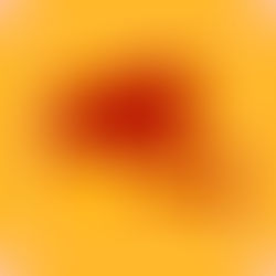 Freitag, 7. August