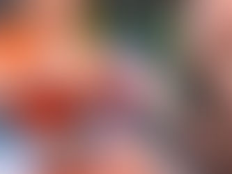 ¿Qué hacer en Barcelona en marzo de 2026? Descubre la fiesta de Sant Medir, las mejores terrazas del Eixample y la cocina de temporada en Casa Rincón de Gràcia. ¡La primavera empieza aquí!