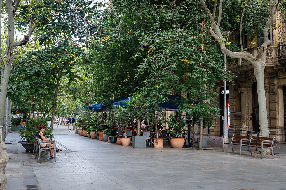 Visiting La Pedrera, Casa Seat, Casa Fuster, or Palau Robert? Discover Casa Rincón de Gràcia at 300 Carrer de Còrsega. The best traditional cuisine and paella in Eixample, just steps from Barcelona's major monuments.