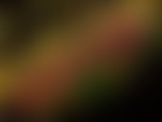 Verão Maior Paraná entra no segundo fim de semana de shows; confira as atrações