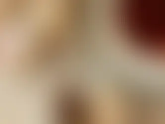 Torteria do Massa celebra o Dia Internacional da Torta com frete grátis em Paranaguá