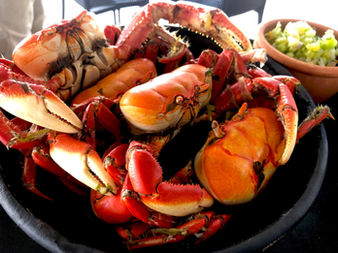 Consumo do caranguejo está liberado a partir desta segunda (1º)