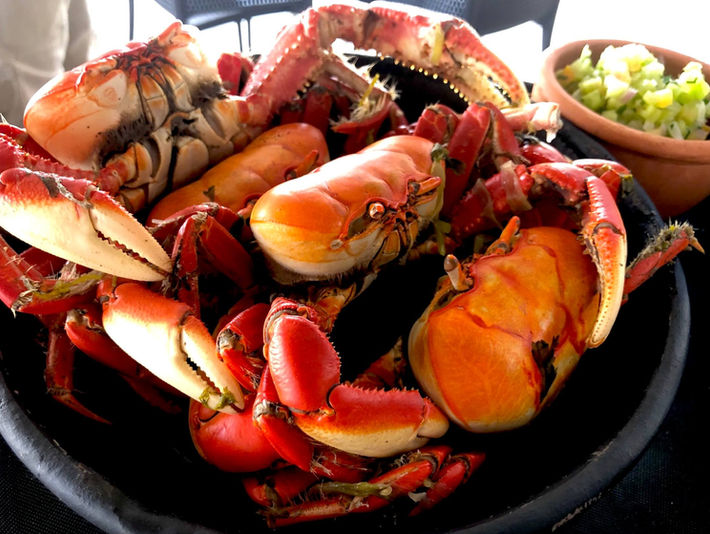 Consumo do caranguejo está liberado a partir desta segunda (1º)