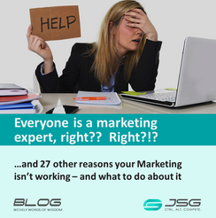 Everyone's a marketing expert, right? Right?!?