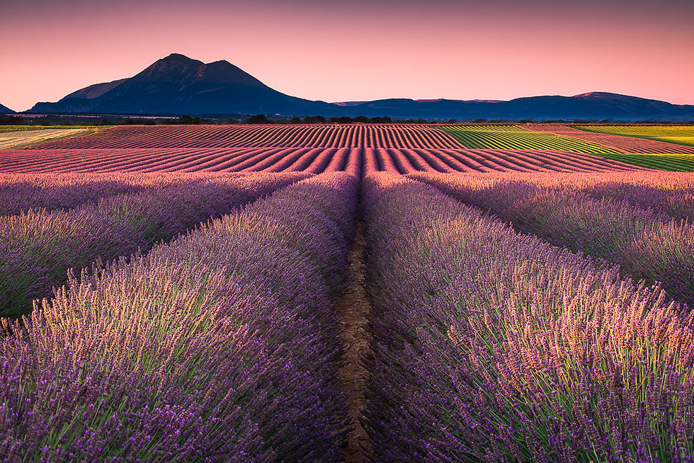 Valensole