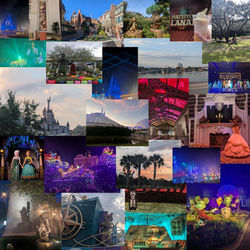 CW DCP The Sights Post