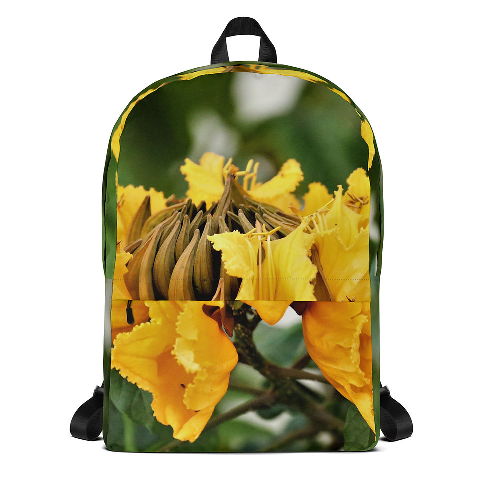Thumbnail: Backpack Uganda Flame - Blossom Collection