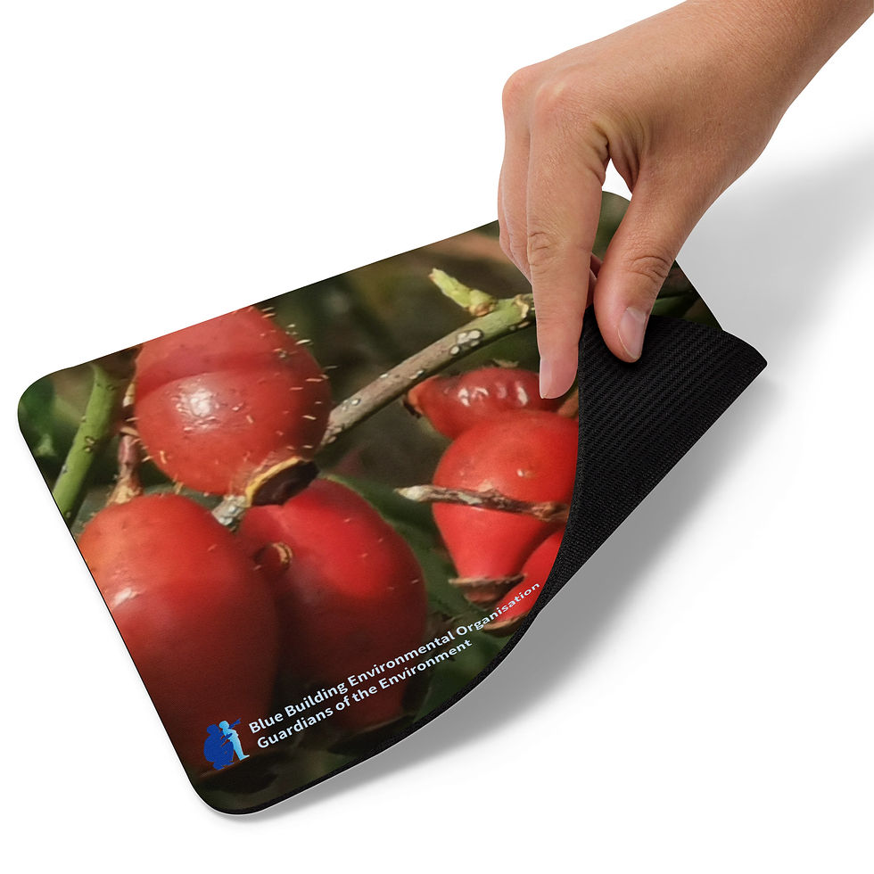 Thumbnail: Mouse pad Rosehip - Blossom Collection
