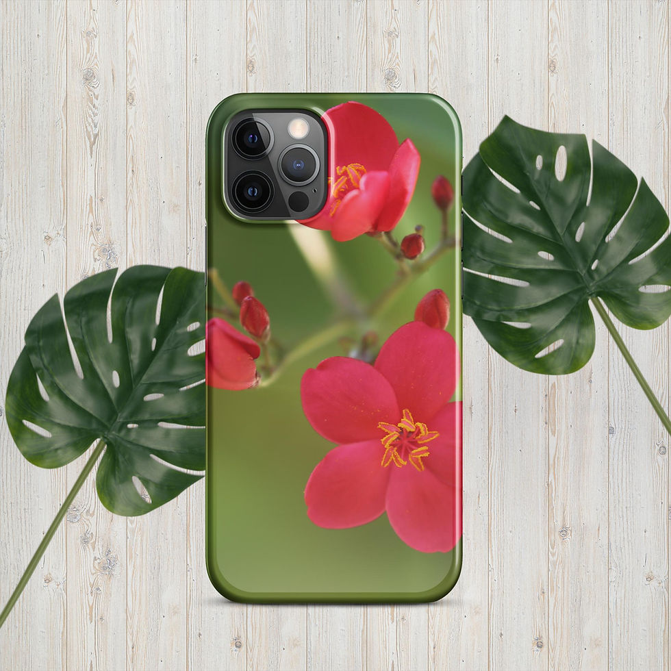 Thumbnail: iPhone® Snap case Peregrina - Blossom Collection