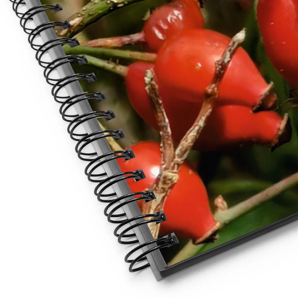 Thumbnail: Spiral notebook Rosehip - Blossom Collection