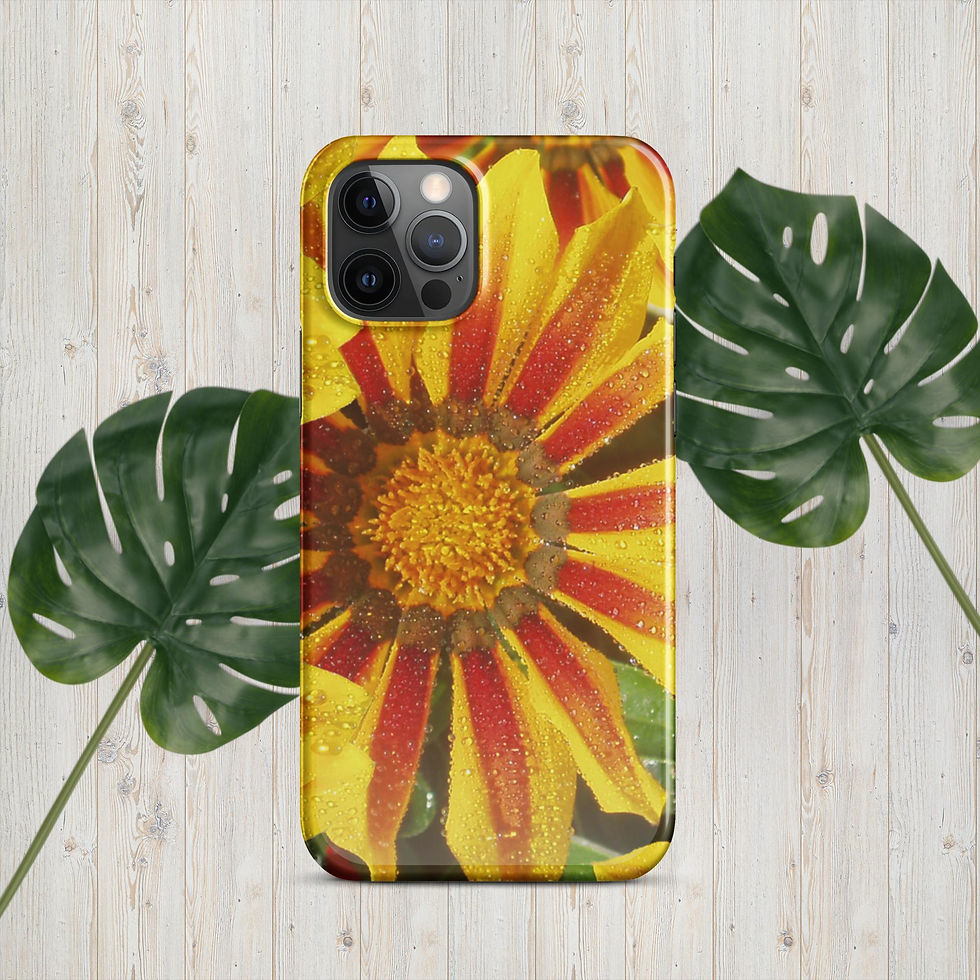 Miniaturbild: iPhone® Snap case Gazania - Blossom Collection