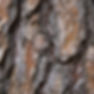 cedar bark.jpg