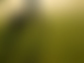 Introducing Behavior-Based Safety For The Golf Industry