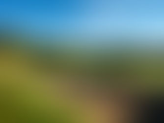 Unlock a Safer Future for Your Golf Course with an Initial Behavior-Based Safety Assessment