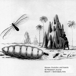 Women, Evolution and Insects as Food