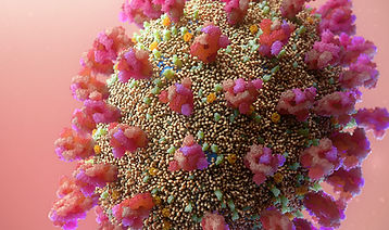 Digital illustration of the coronavirus with spike proteins on a pink background.
