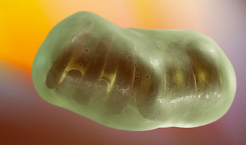 Animated illustration of a cell's mitochondria structure in a colorful background.
