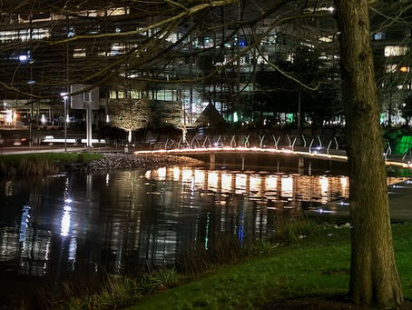 Reflections
