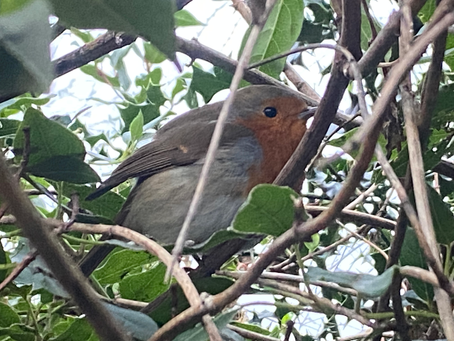 Keeping a low profile