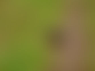 It's good to listen...