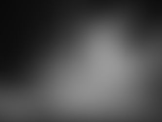 From the large ecosystem to the tiny