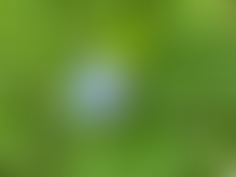 Day of transformation