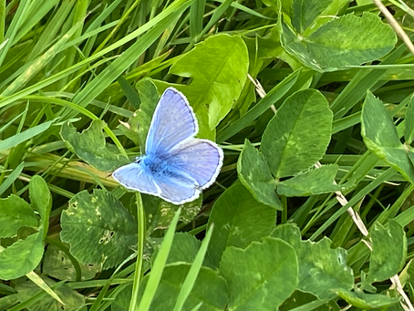 Day of transformation