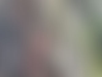 The sadness in things