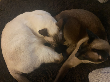 Happiness, more or less...