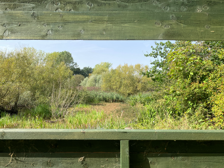 You'll be wishing for the robin...