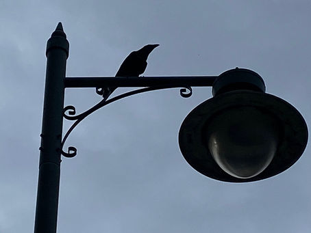 I'm going home, I'm going home!