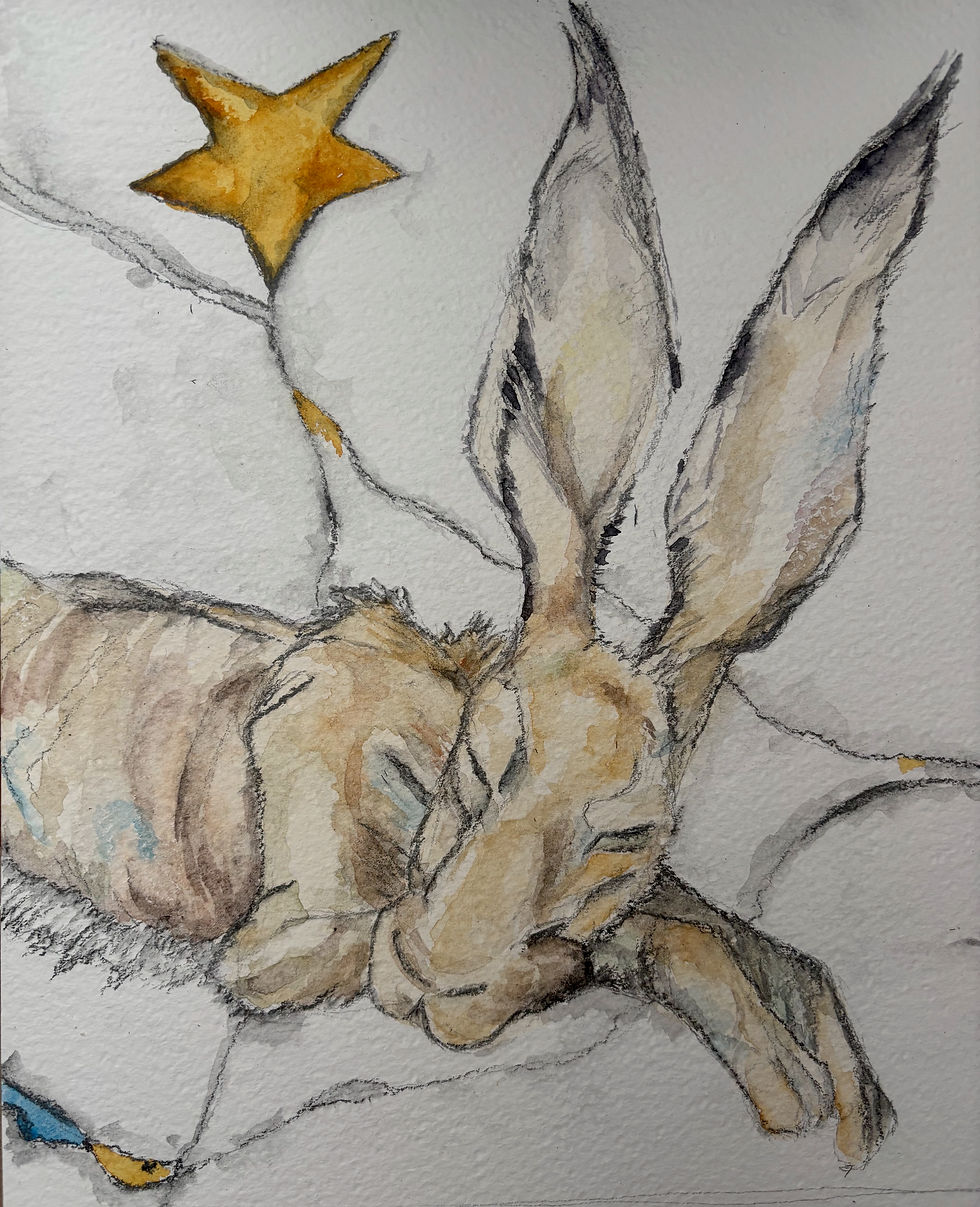 Sleep