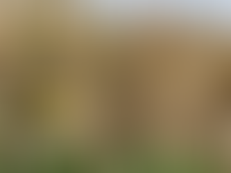 Trust - foundations and fixes