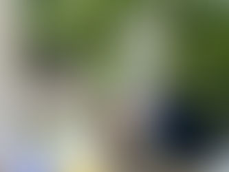 Friends without borders