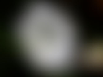 Kairos - the synchronicity