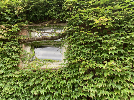 Before returning to trust...