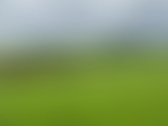 On cows, woodpeckers and unidentified calls